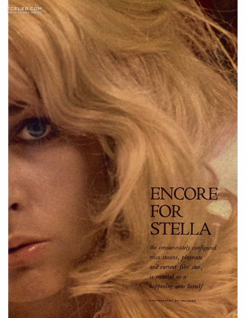 Stella Stevens Lustimages Net